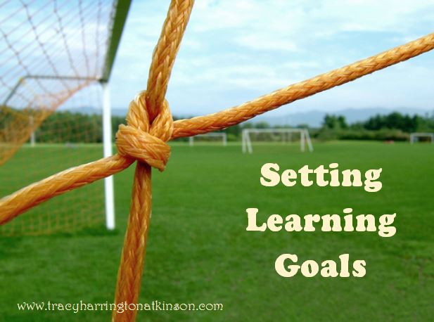 Setting Learning Goals
