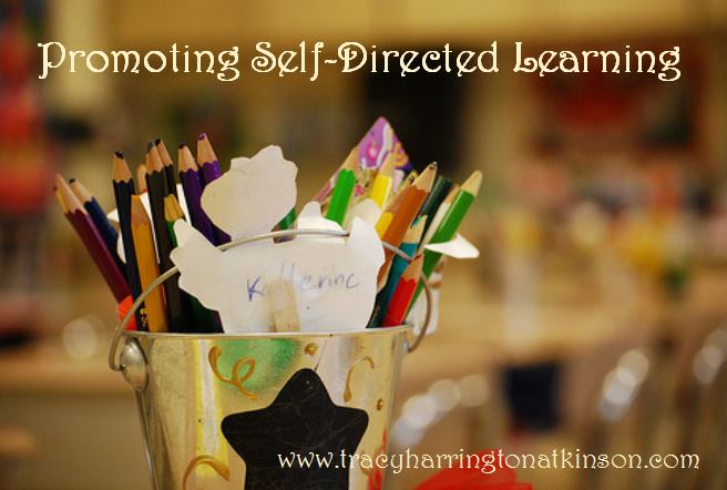 Promoting Self-Directed Learning