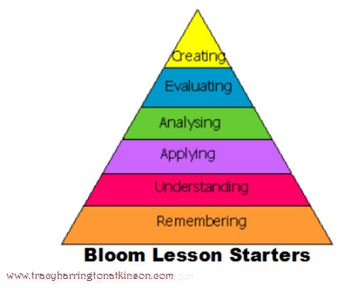 Bloom Lesson Starters