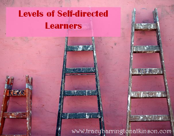 Levels of Self-directed Learners