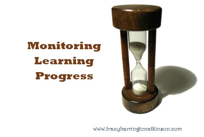Monitoring Learning Progress
