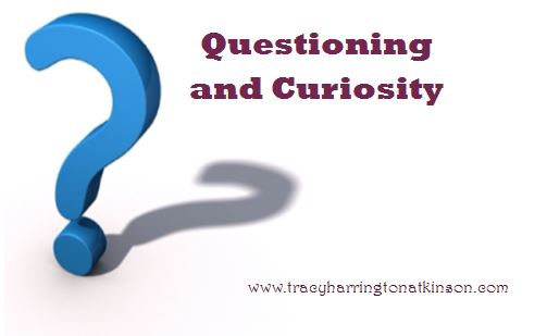 Questioning and Curiosity