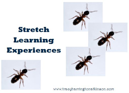 Stretch Learning Experiences