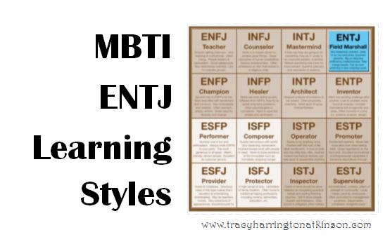 MBTI ENTJ (Extraversion, Intuition, Thinking, Judging) Learning Styles