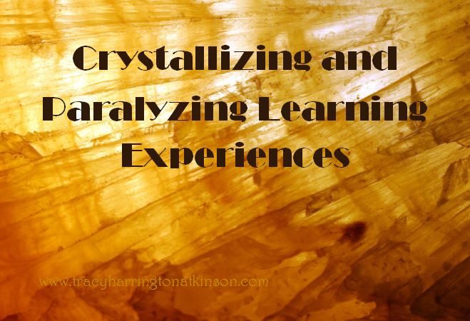Crystallizing and Paralyzing Learning Experiences