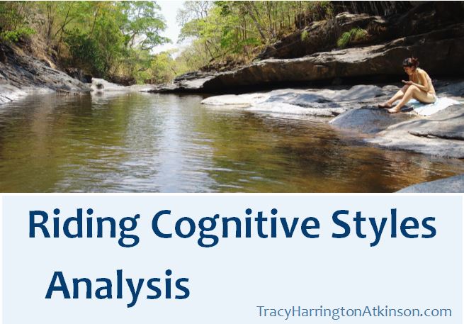 Riding Cognitive Styles Analysis
