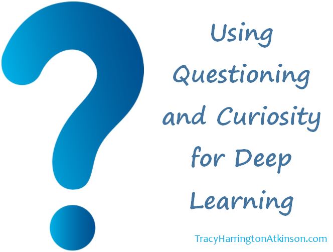 Using Questioning and Curiosity for Deep Learning