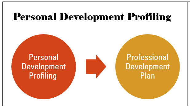 personal development profiling